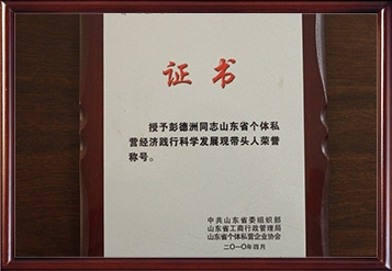 2008年山东省个体私营经济践行科学生长观带动人